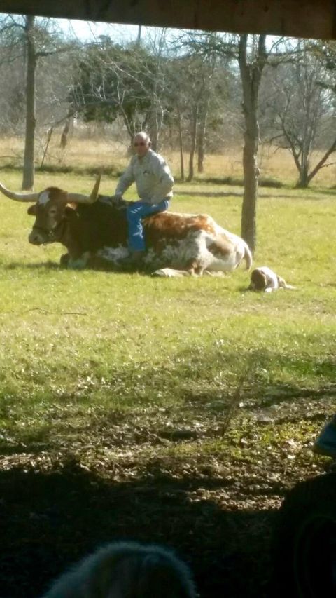 7406 Nez Perce TRCE Manor TX 78653