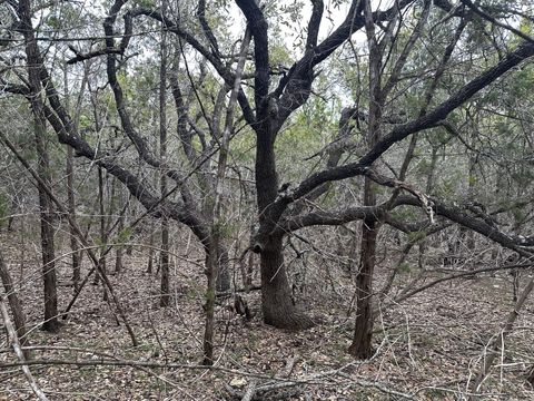 TBD S Sunset CYN Dripping Springs TX 78620