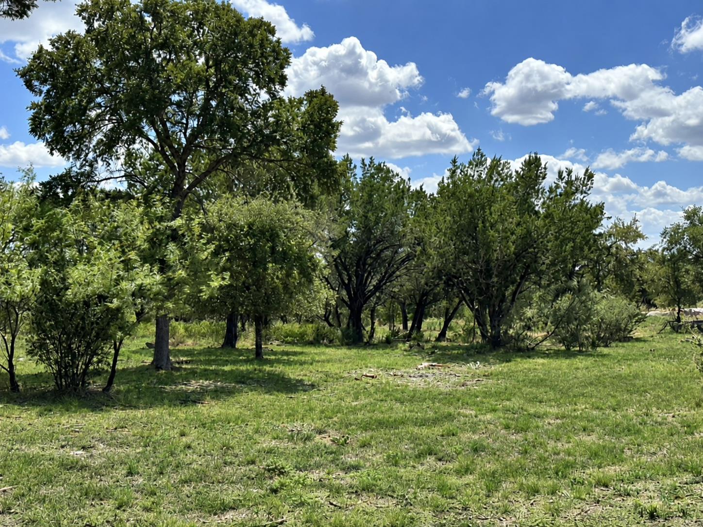 Lot 53 Park View DR