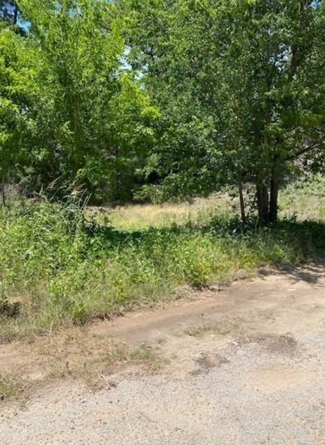 Photo of Lot 1123 Koali DR, Bastrop, TX 78602 (MLS # 1755648)