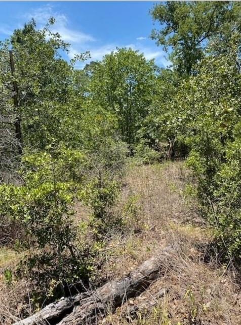 Lot 1123 Koali DR