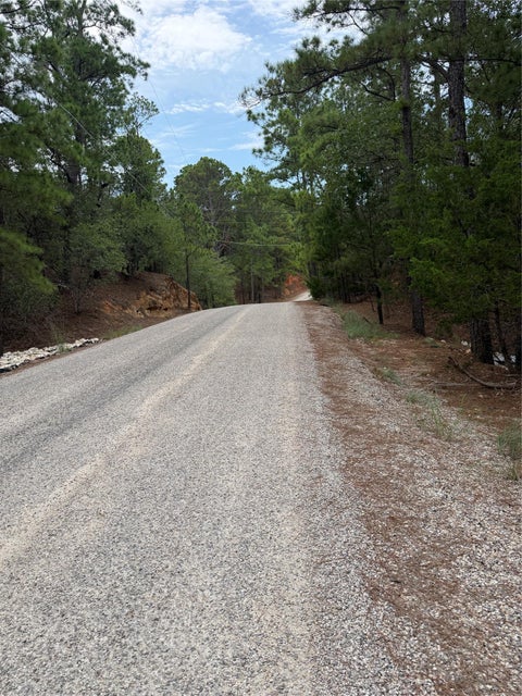 Photo of Lot 216 Hekili DR, Bastrop, TX 78602 (MLS # 2182541)
