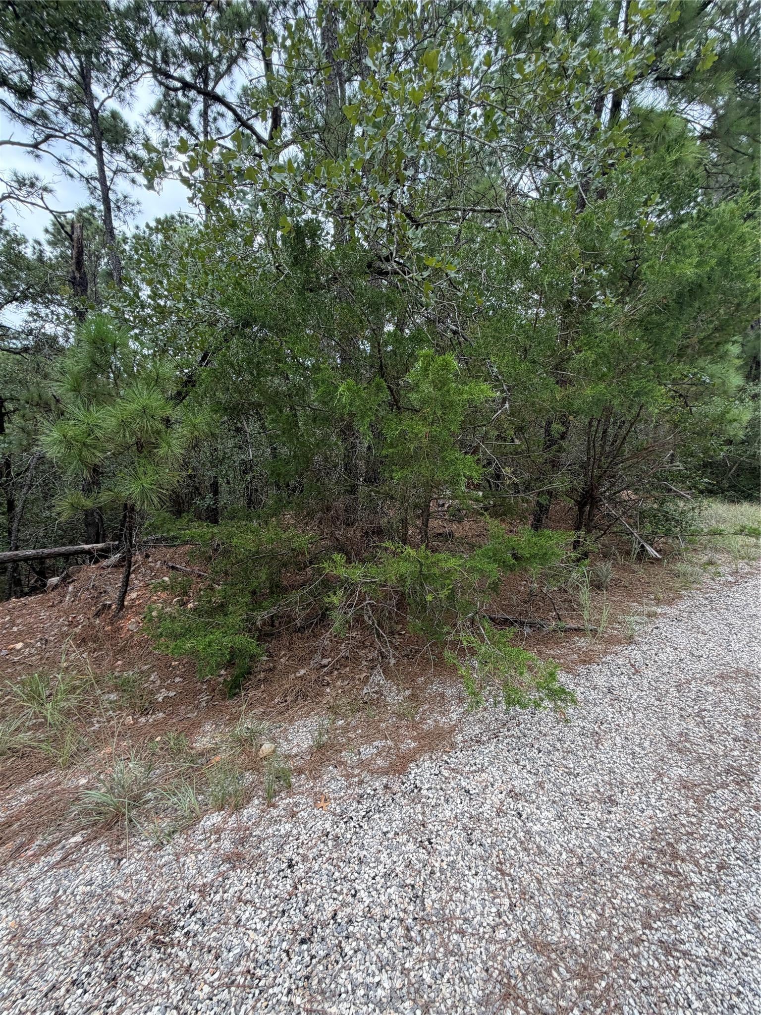Lot 216 Hekili DR