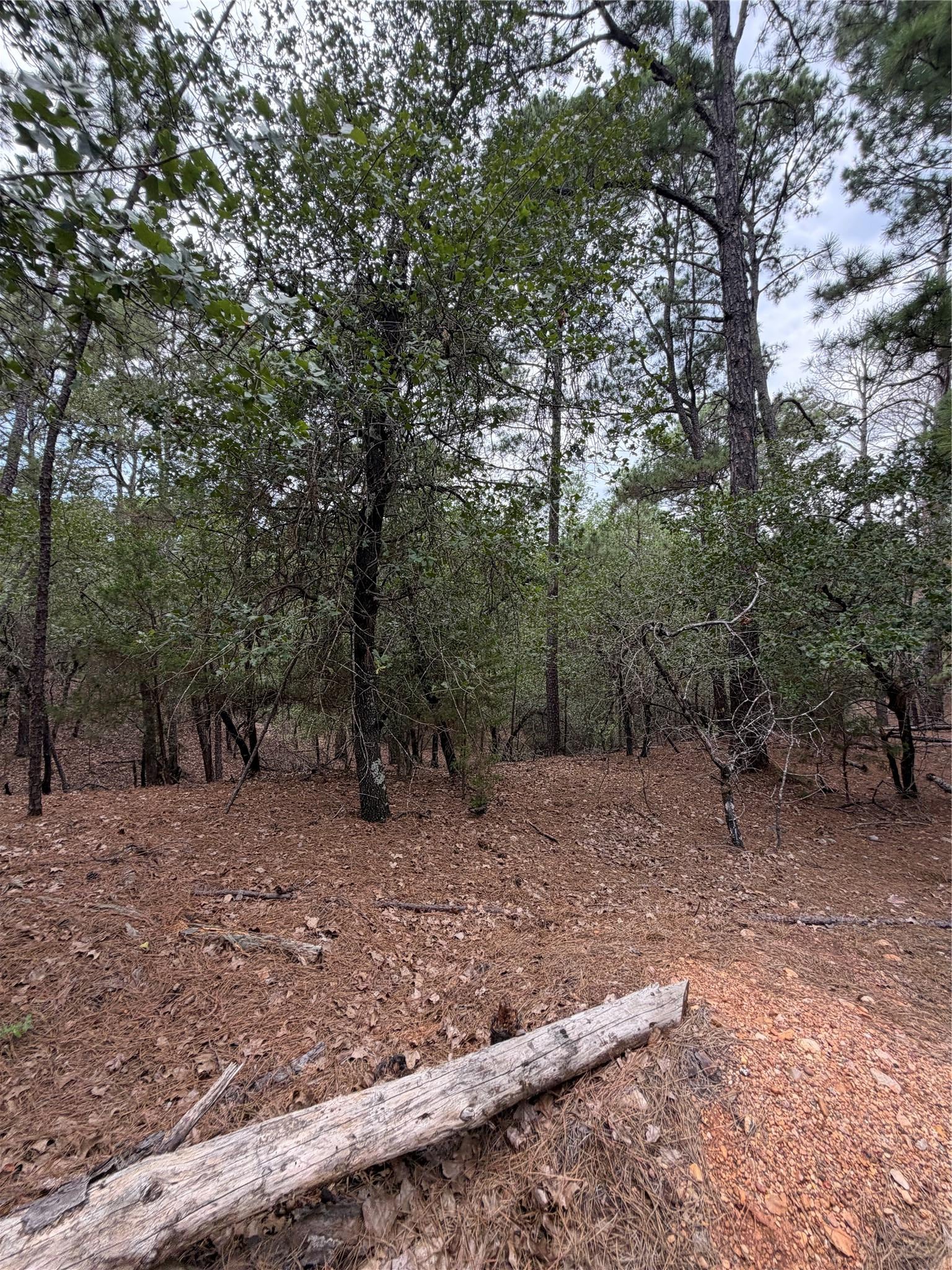 Lot 216 Hekili DR
