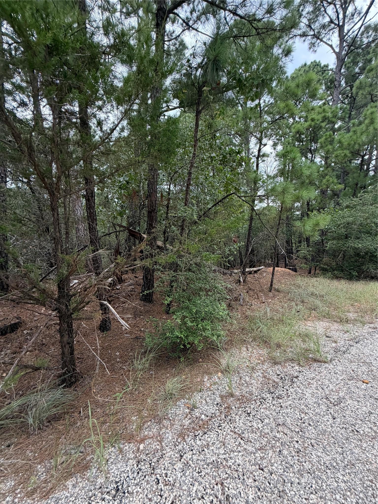Lot 216 Hekili DR