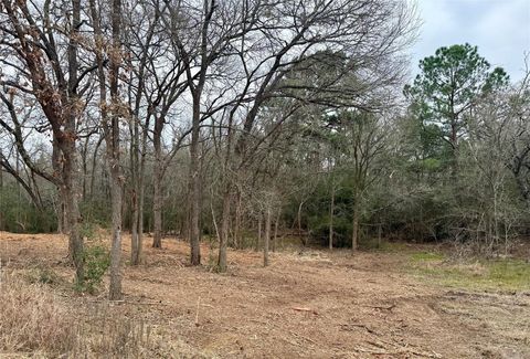 Photo of Lot 8 and 9 Meadow Creek DR, Bastrop, TX 78602 (MLS # 6535423)