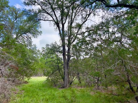 Photo of Lot 43-A Narrows RD #1, Blanco, TX 78606 (MLS # 9467872)