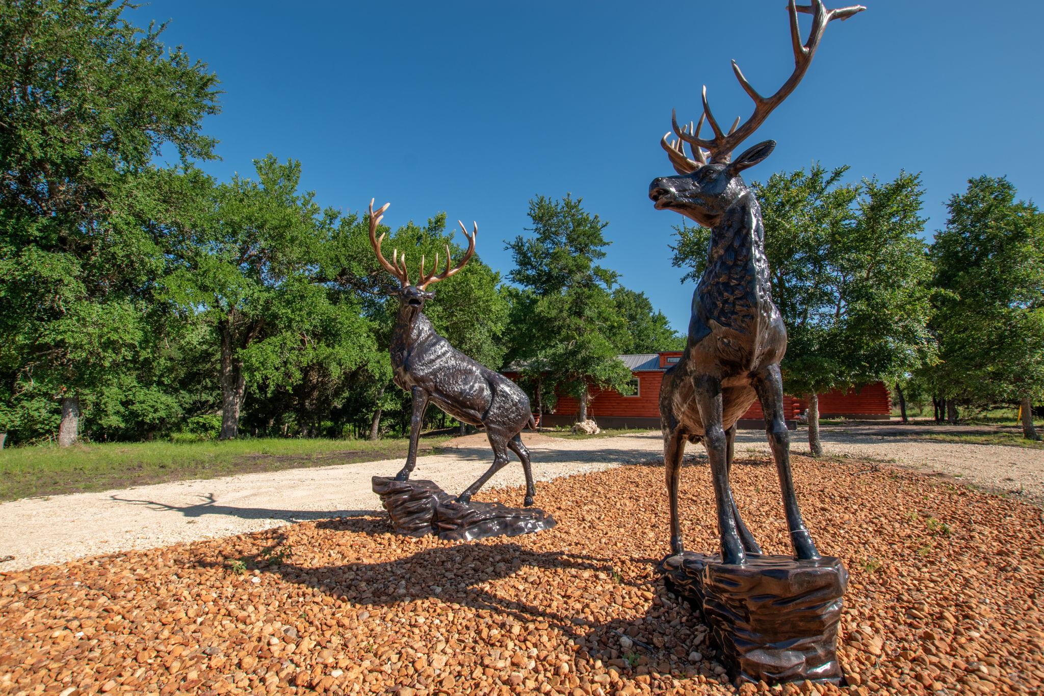 13510 County Road 3642