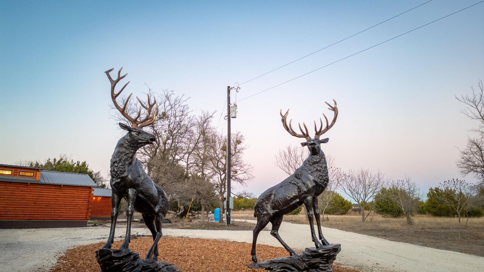 13510 County Road 3642