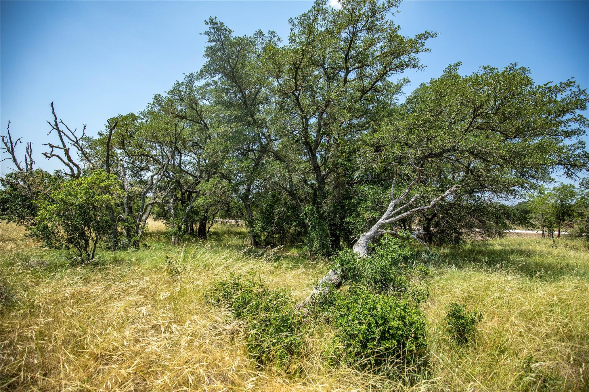 137 Steel Creek CRST