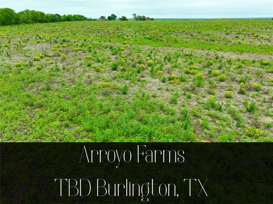 100 N 2ND ST, BUCKHOLTS, TX 76518 - Image 514fd70fe1fa2c19f304a35f66d4c8d2/939044213