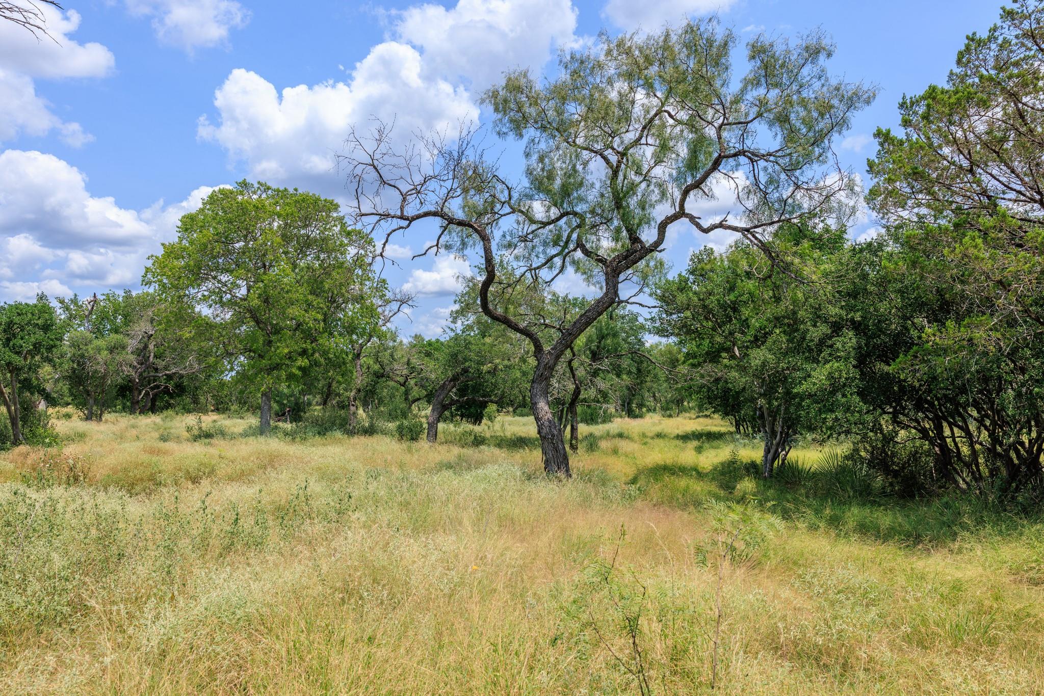 0 Ranch Road 648
