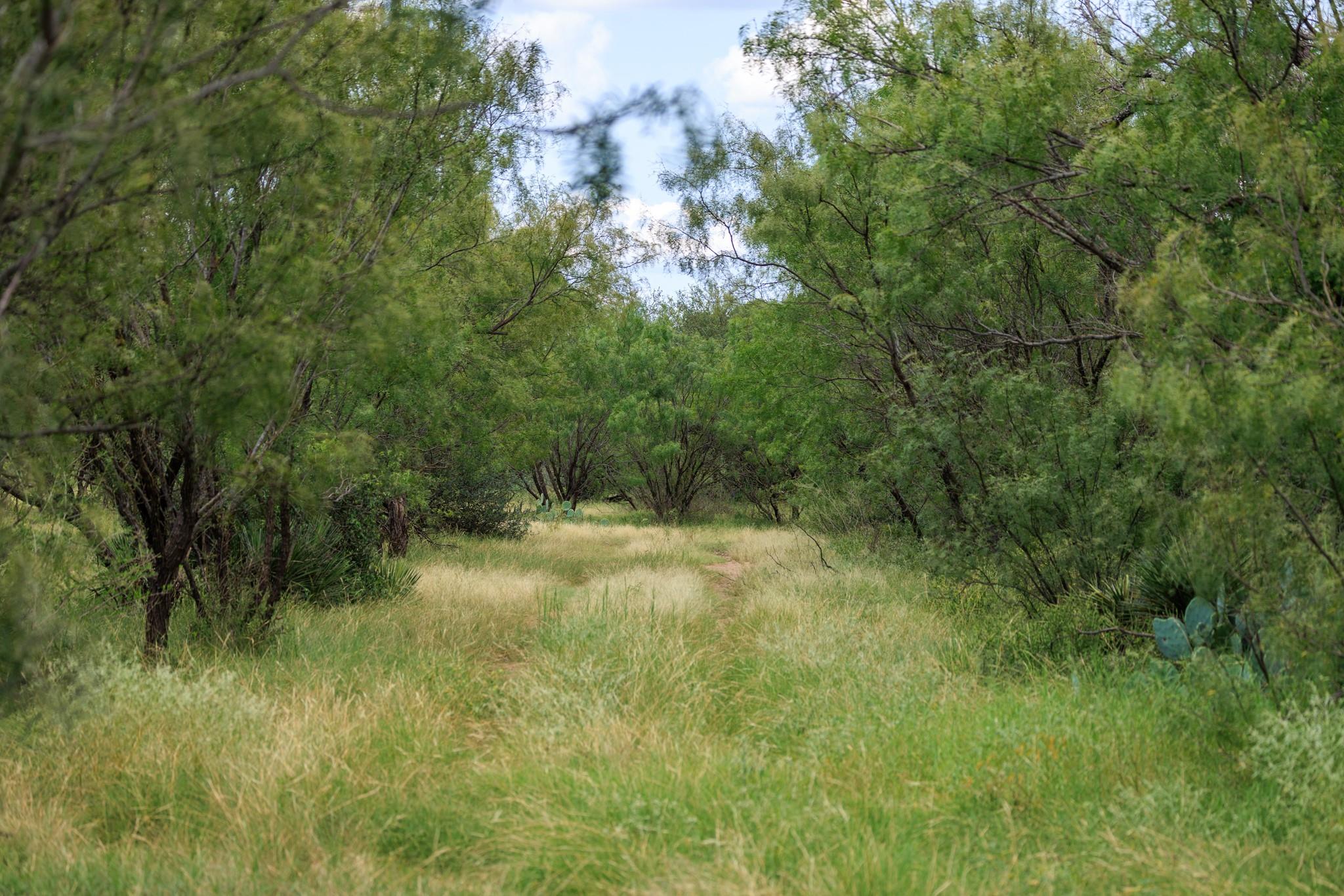 0 Ranch Road 648