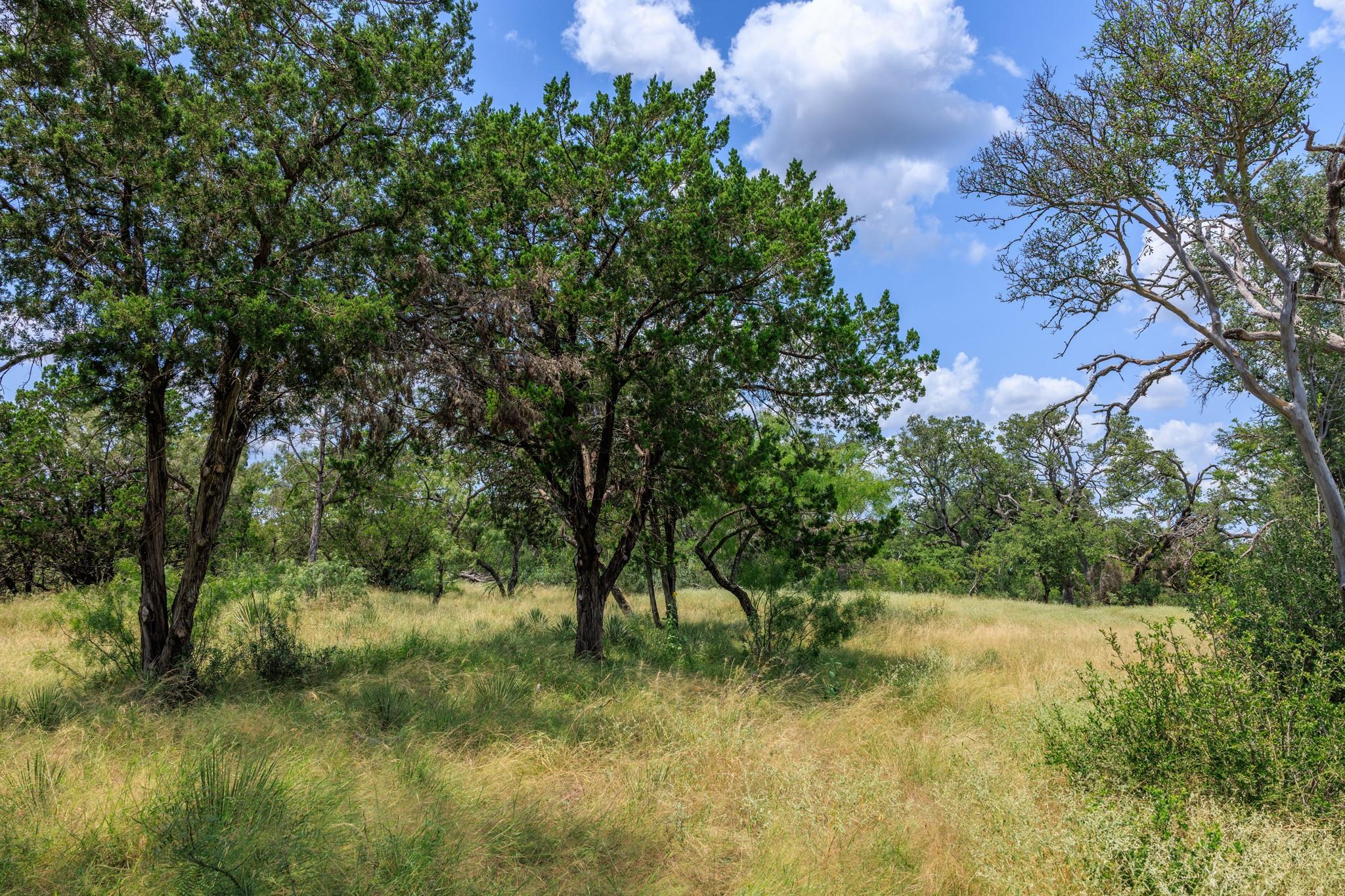 0 Ranch Road 648