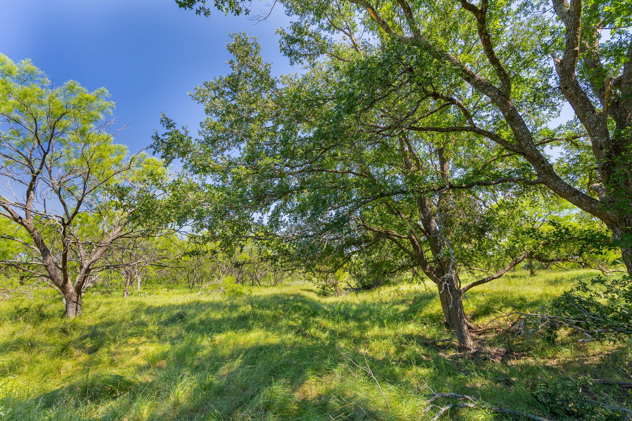 TBD County Road 180 Covered Meadows Ranch RD