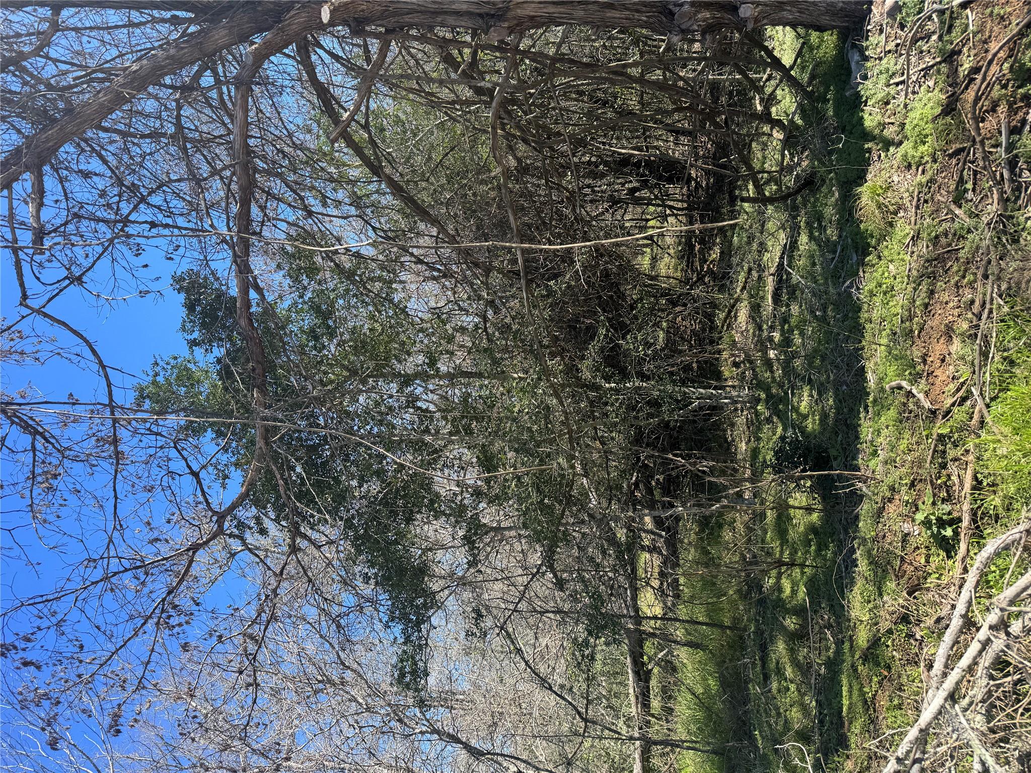 Lot 321 Kolekole LN