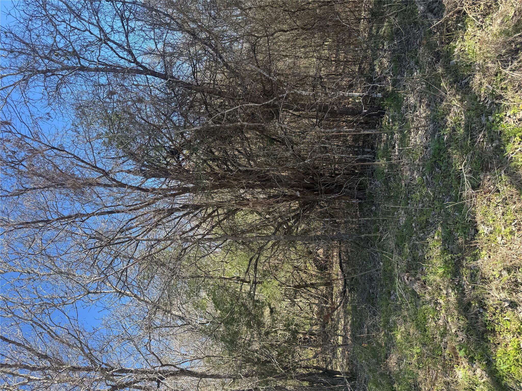 Lot 321 Kolekole LN