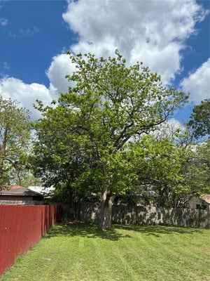 106 N 6TH ST, THORNDALE, TX 76577 - Image 537a1f1939f720abfde8f7555b4e030e/546738941