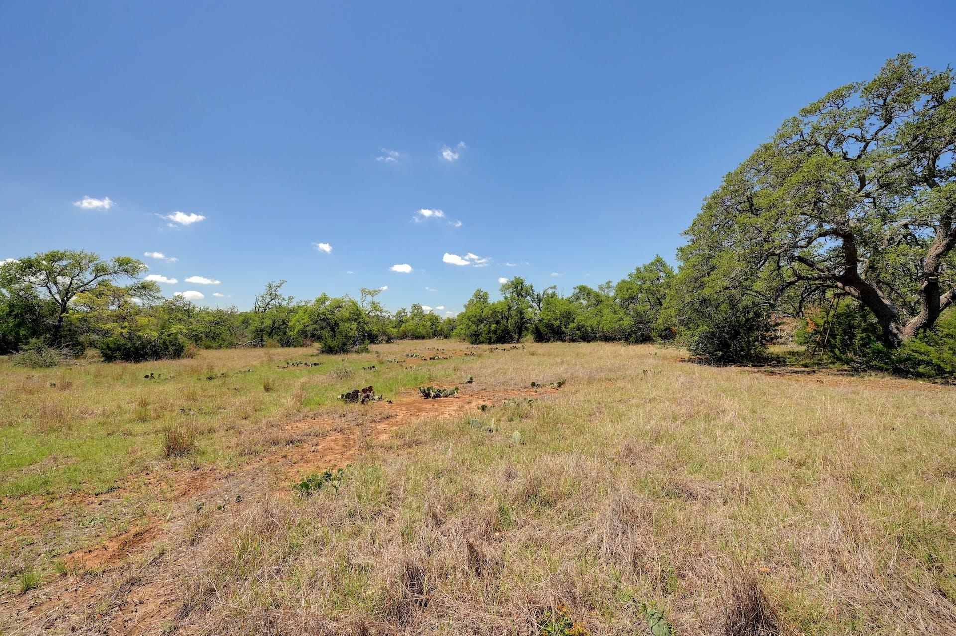 00 Martin RD