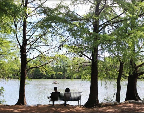 Tiny photo for 1529 Barton Springs RD #13, Austin, TX 78704 (MLS # 5392285)