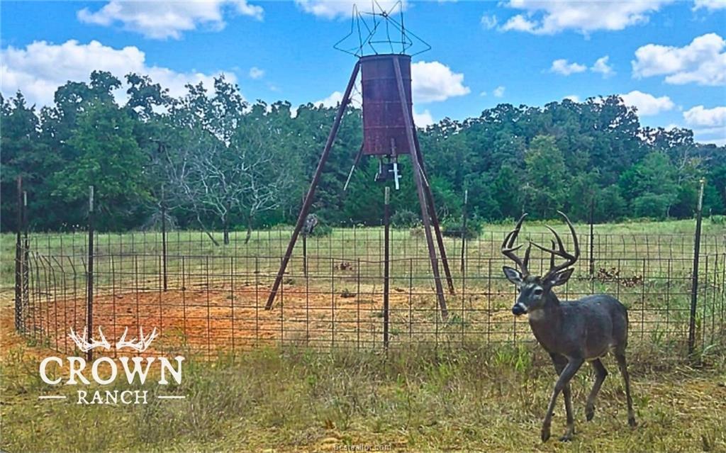 TBD FM 908 (+/-1,057 acres)