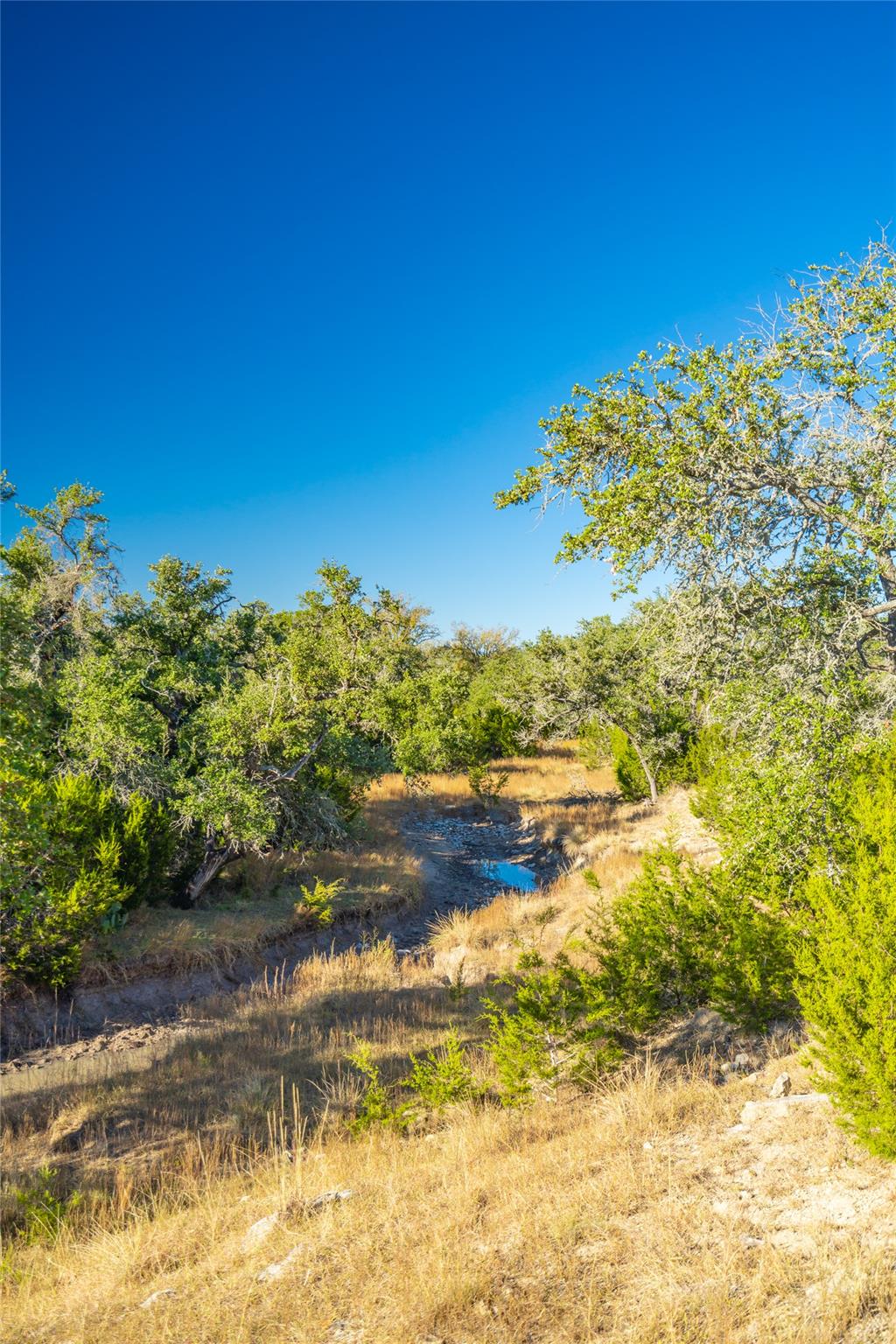 391 Henry P Schmidt RD