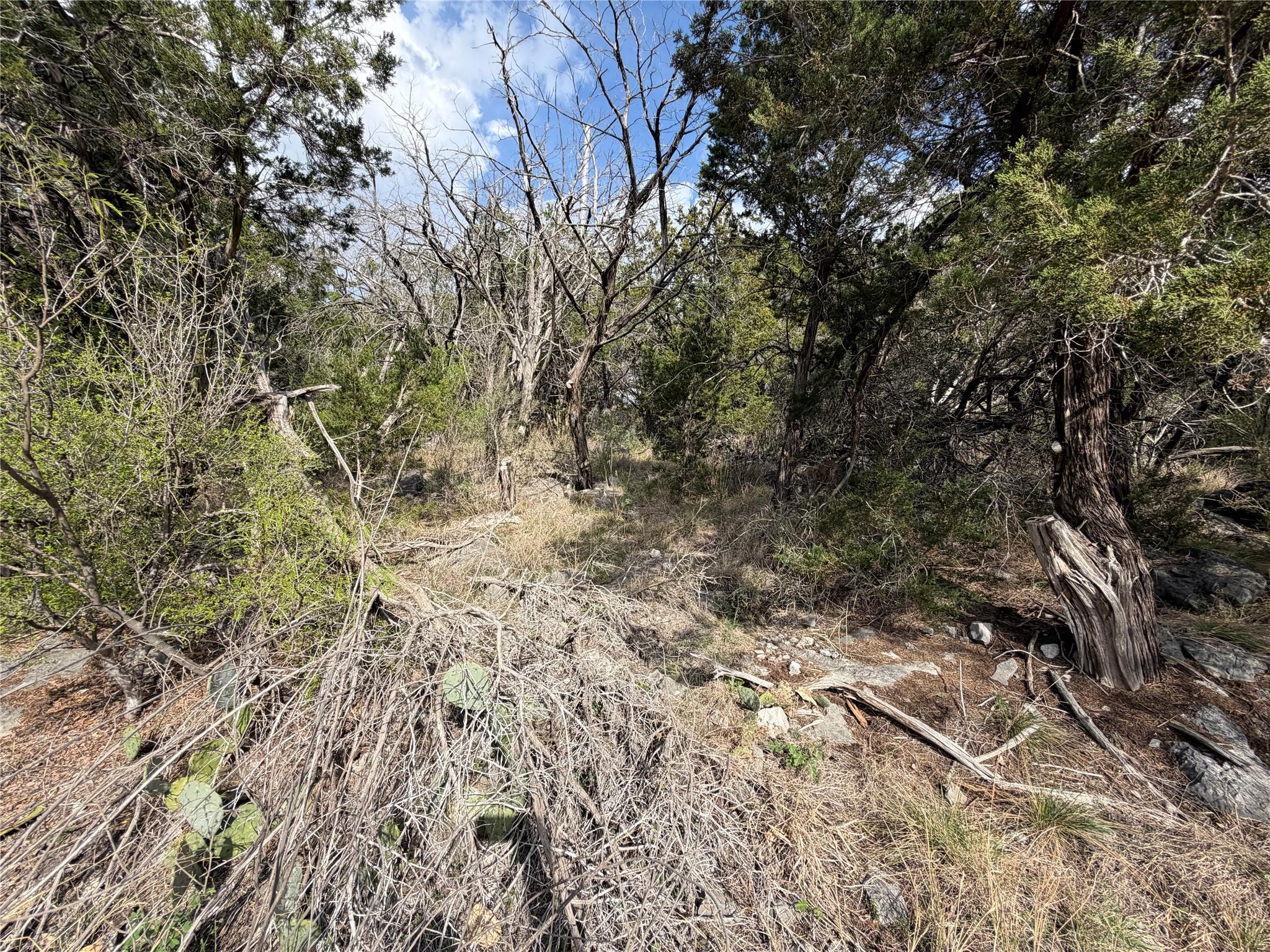 000 Saddle Back K15034