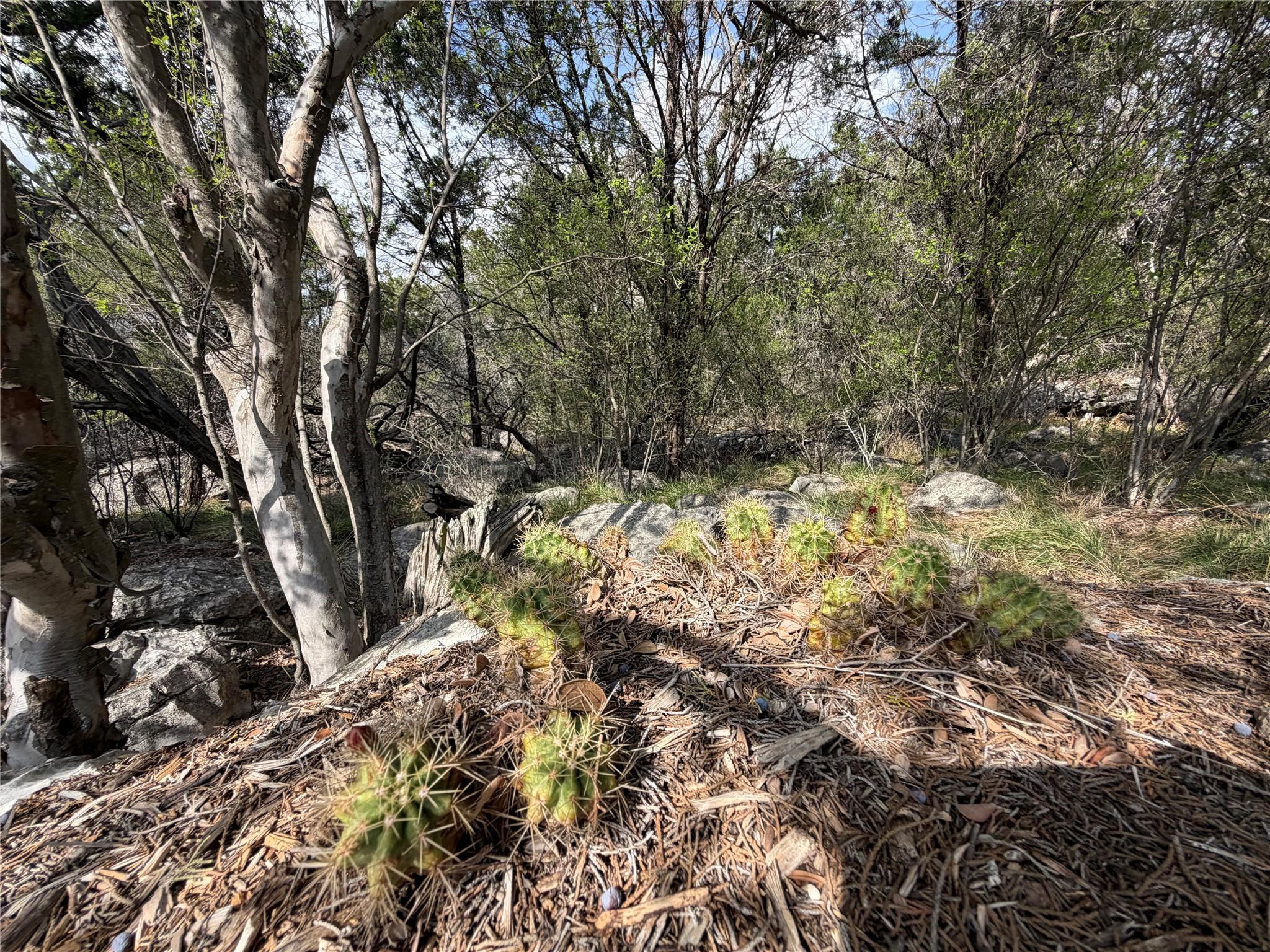 000 Saddle Back K15034