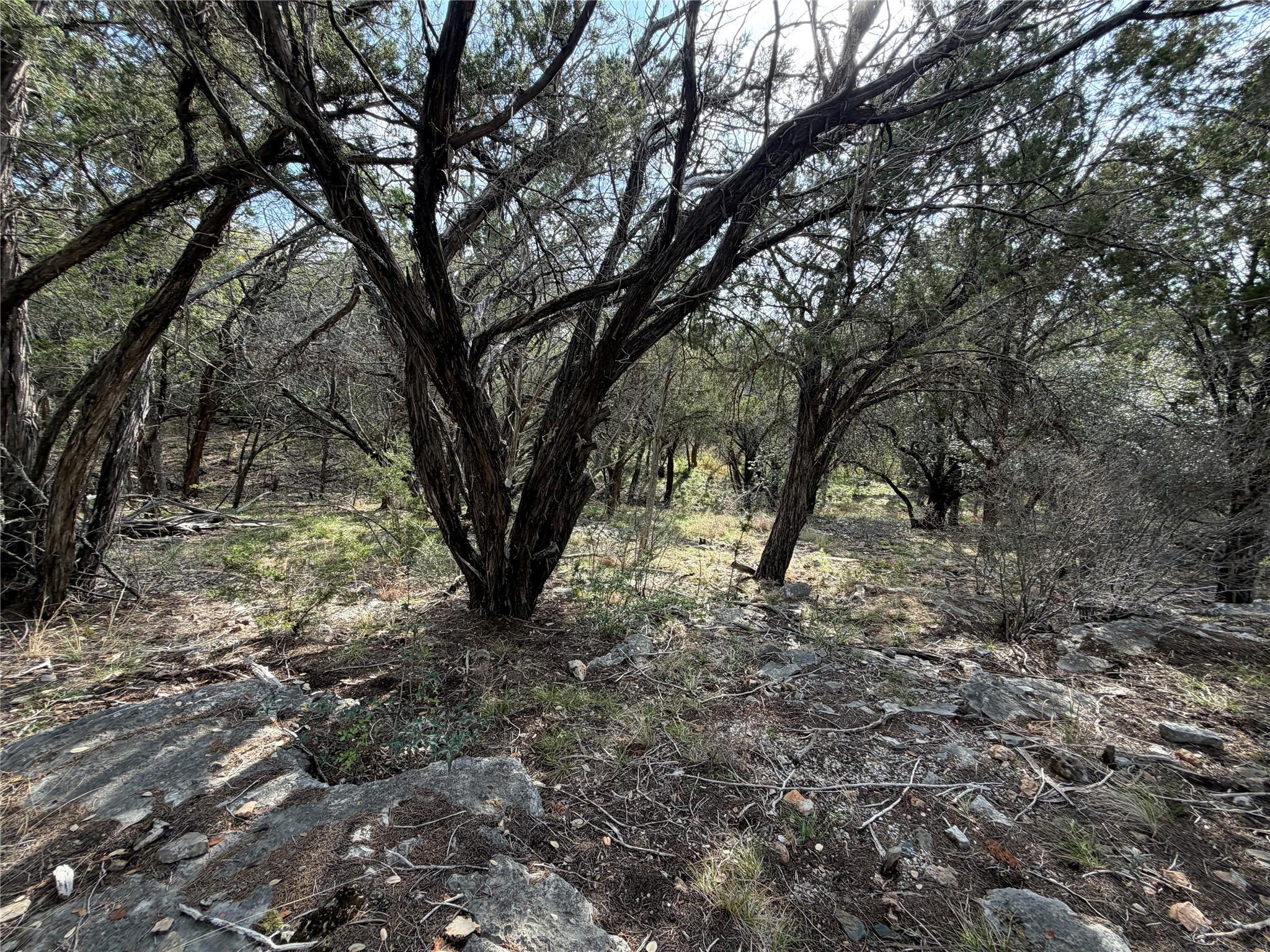 000 Saddle Back K15034