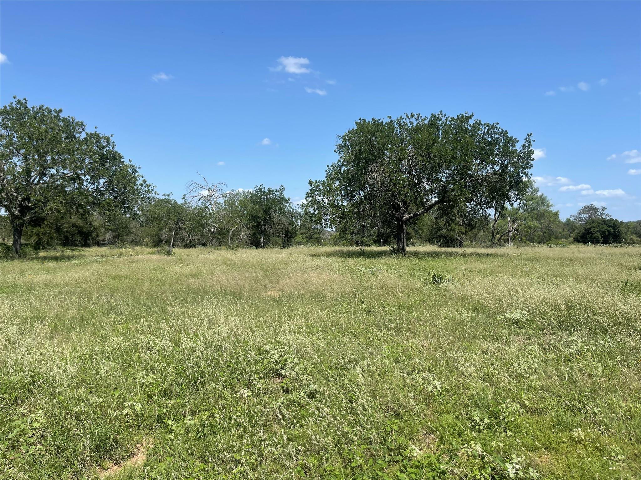 TBD FM 1980 tract 1