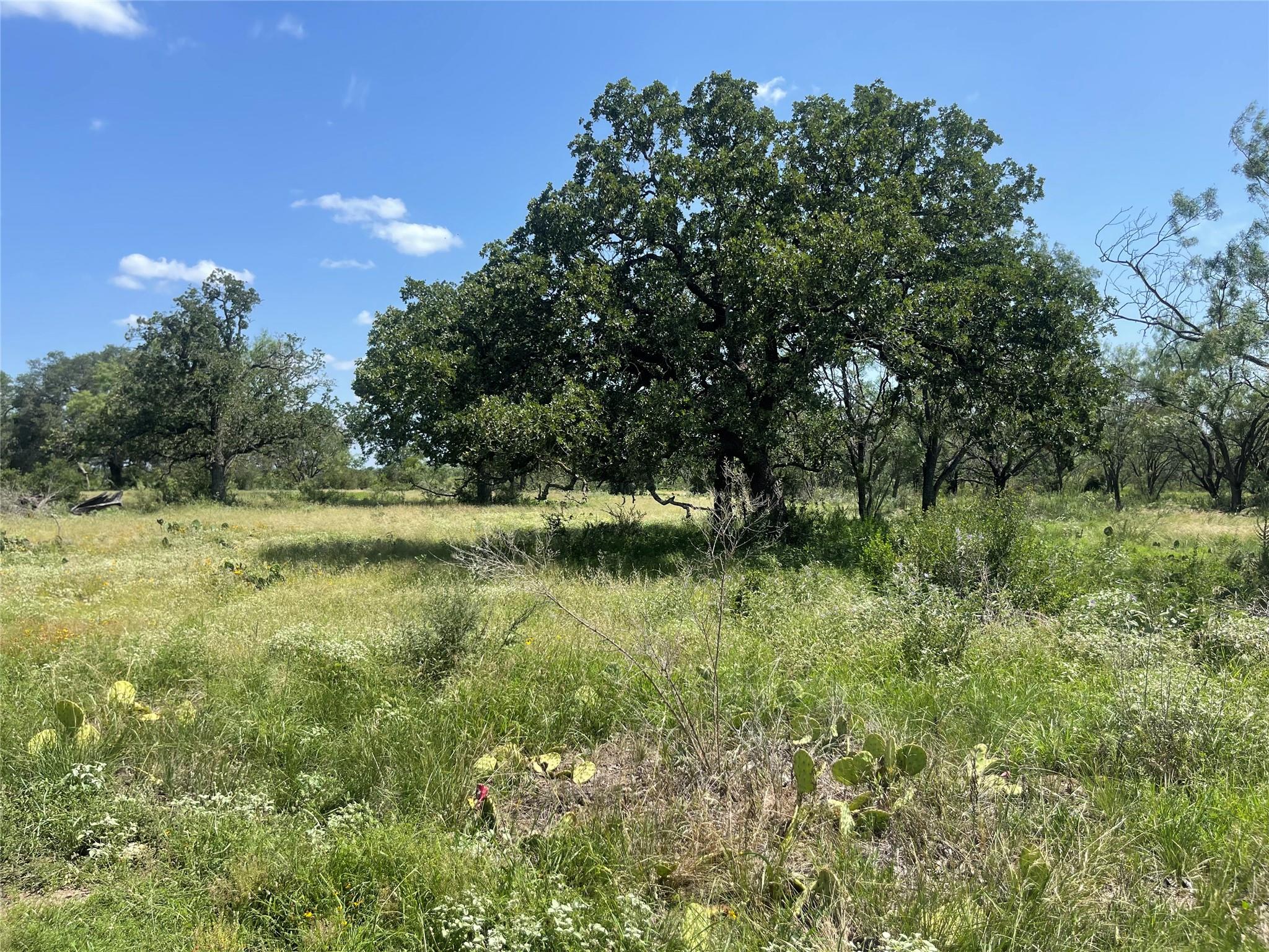TBD FM 1980 tract 1