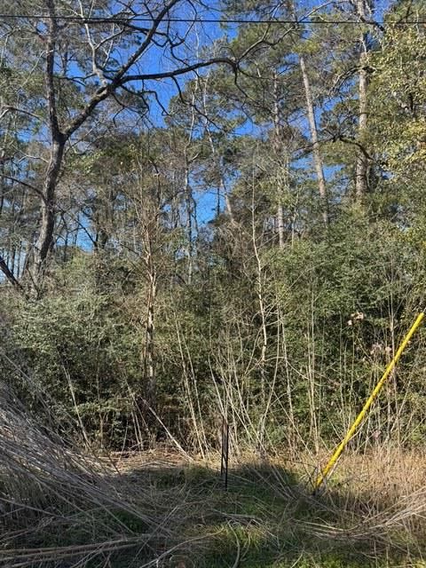 Photo of Montgomery, TX 77356 (MLS # 6612595)