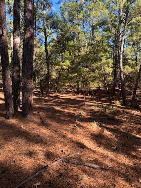 Photo of Lot 1395 Kaupa CT, Bastrop, TX 78602 (MLS # 8099003)