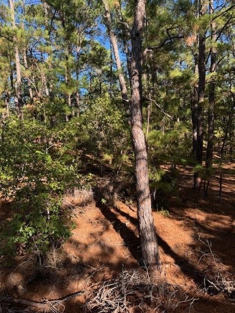 Lot 1395 Kaupa CT