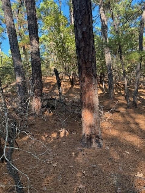 Lot 1395 Kaupa CT