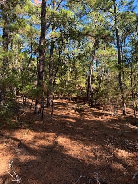 Lot 1395 Kaupa CT