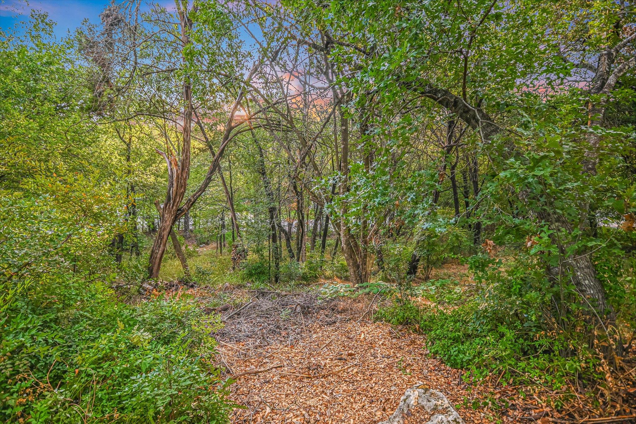 19 Sugar Shack DR