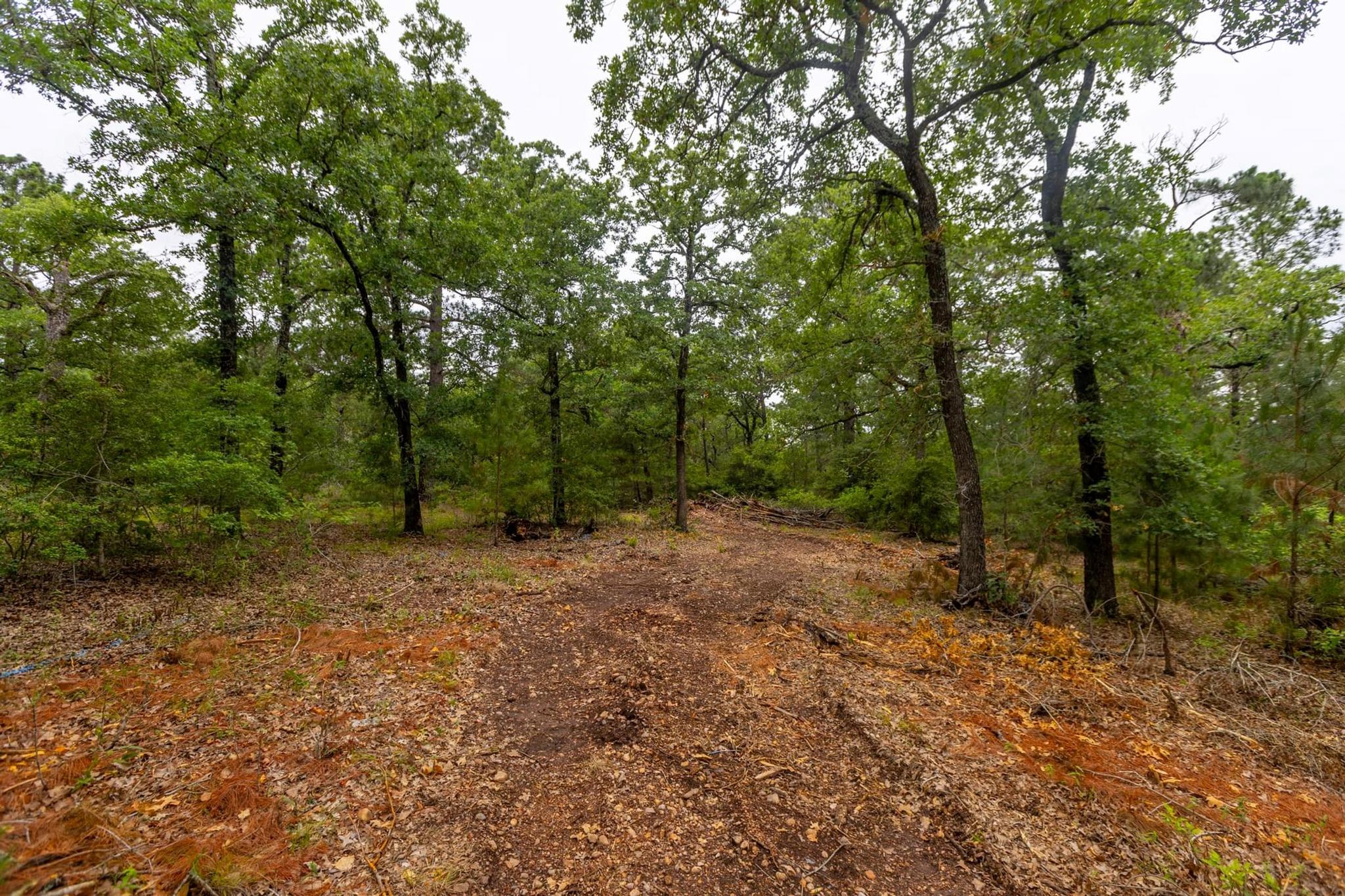 492 S Old Potato RD