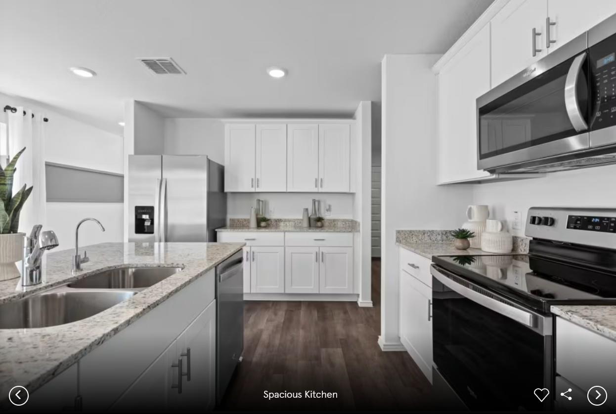 5218 Monarda Mint DR