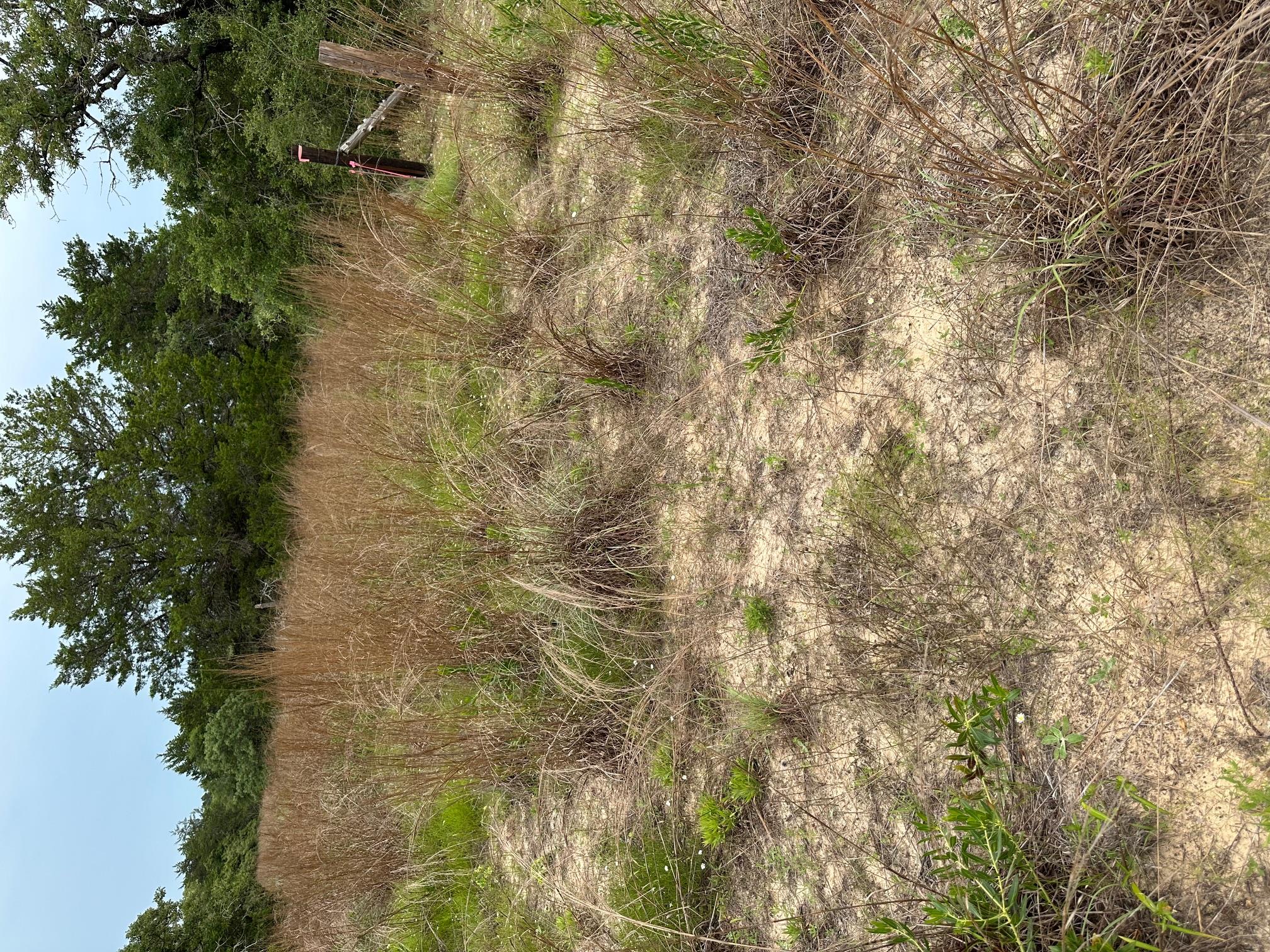 Lot 58-61 Pecan DR