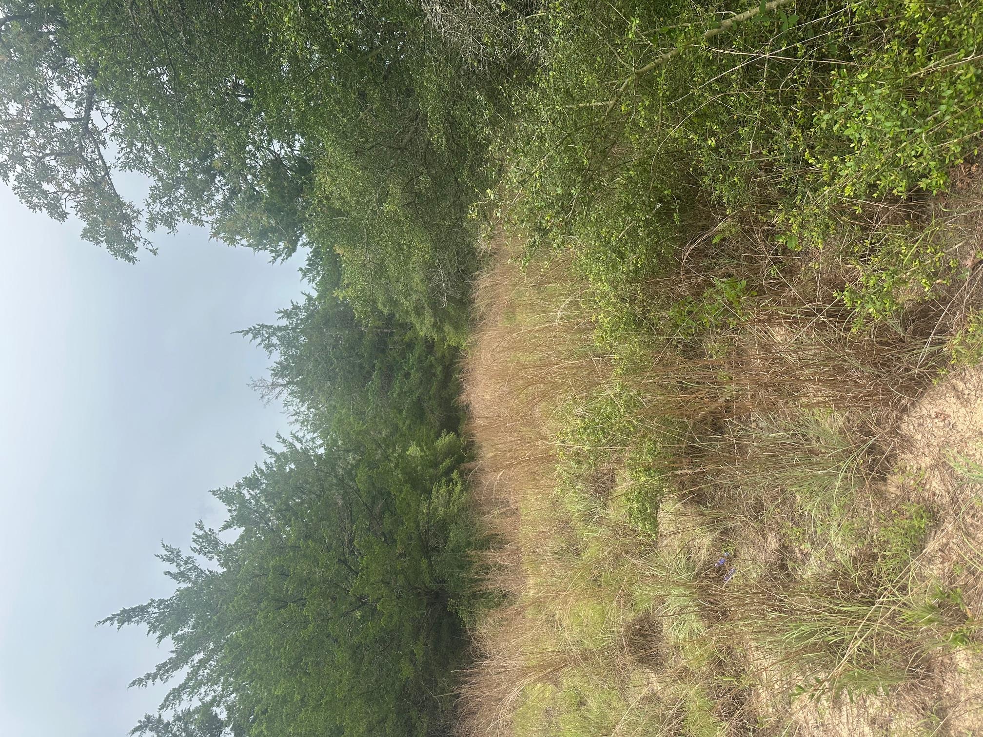 Lot 58-61 Pecan DR