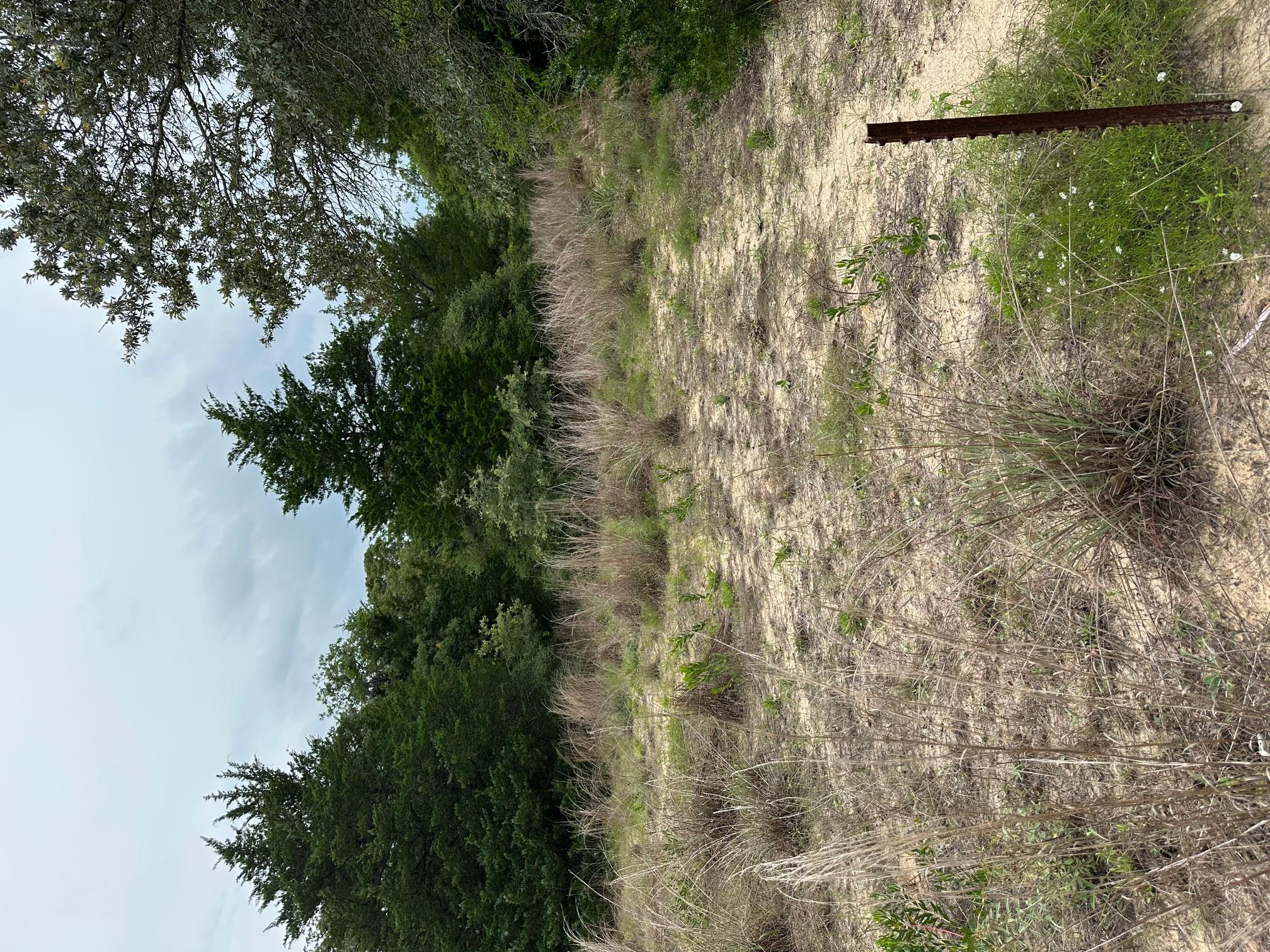 Lot 58-61 Pecan DR