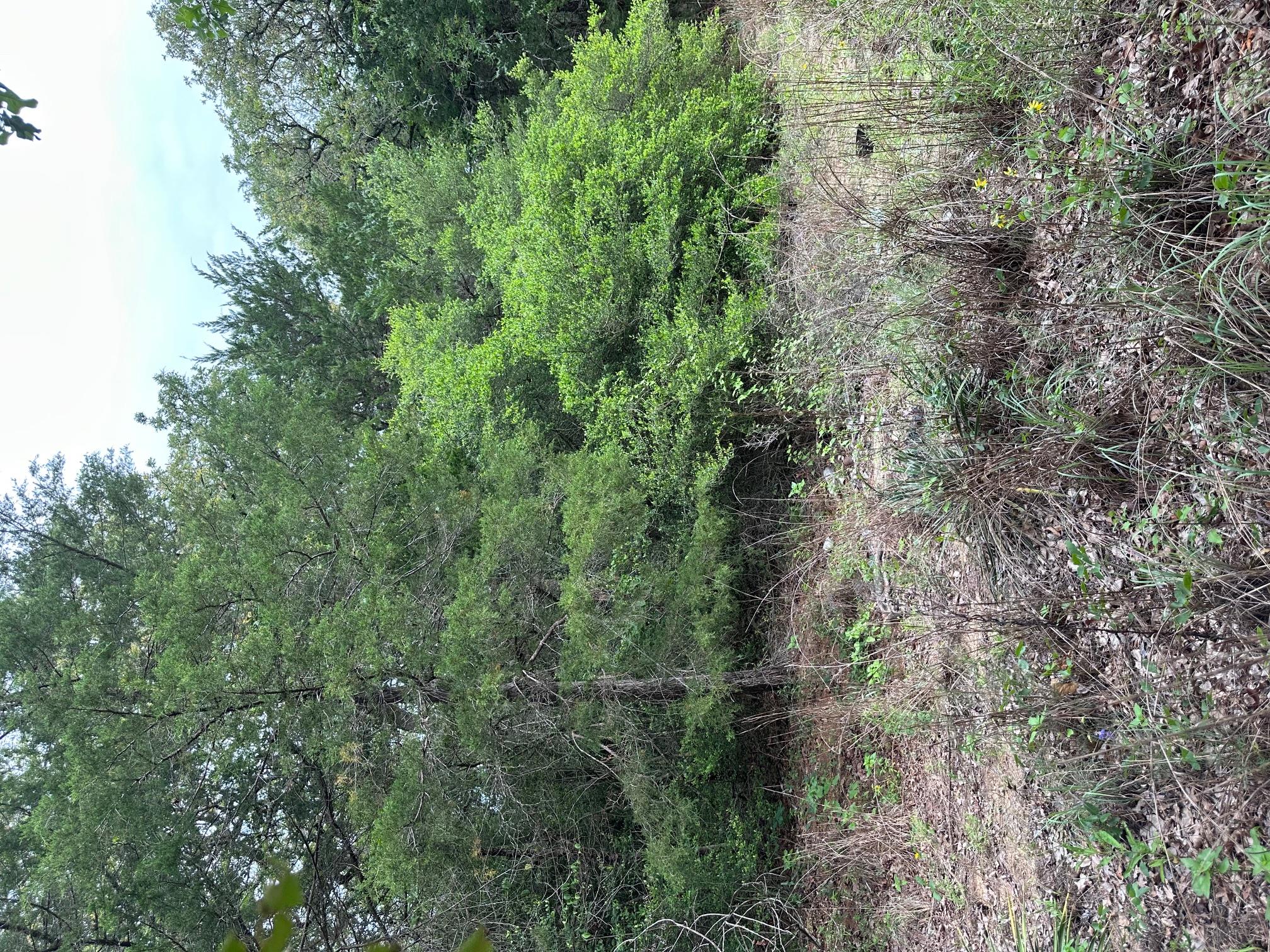Lot 58-61 Pecan DR