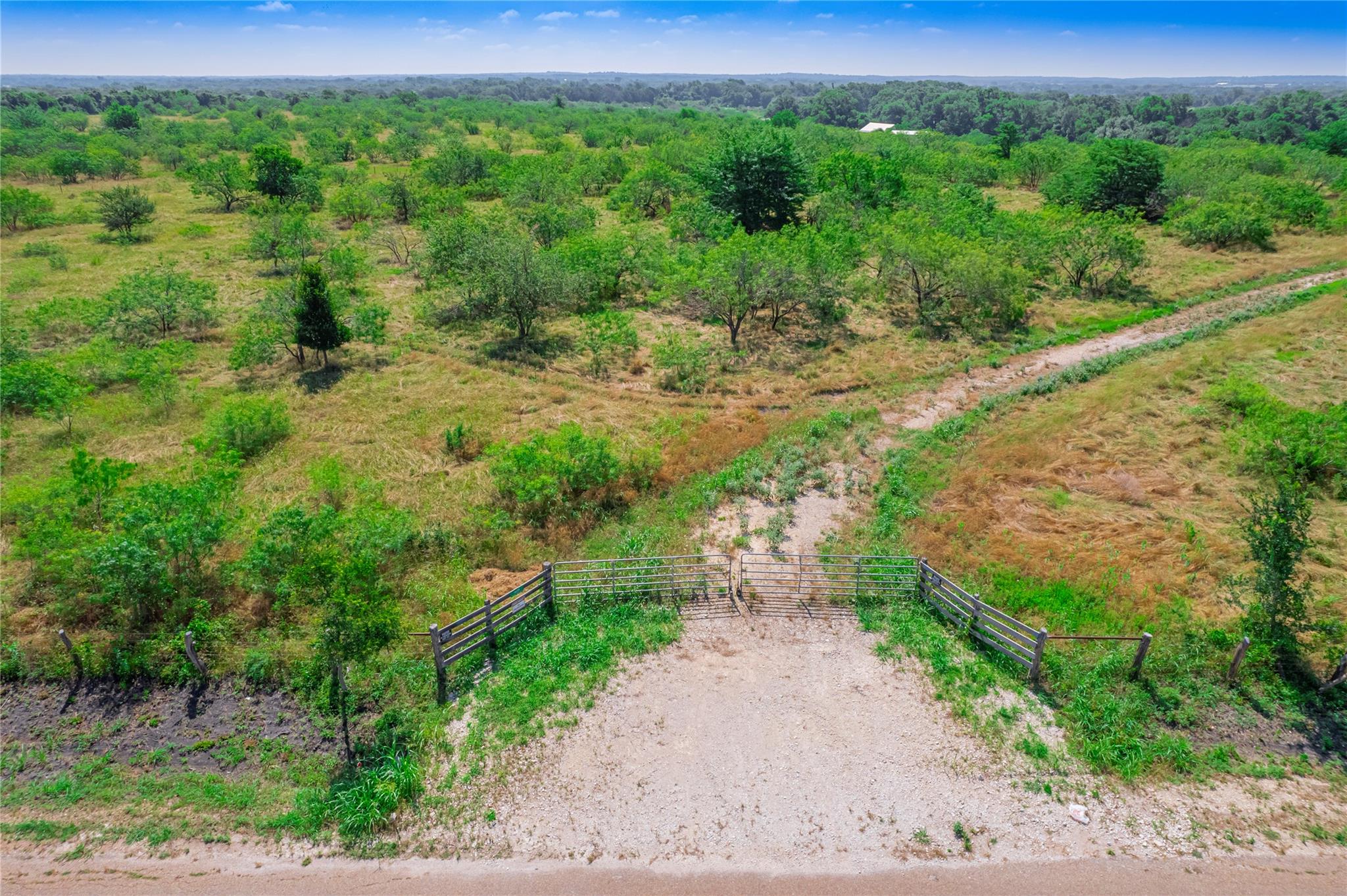 1435 County Road 429