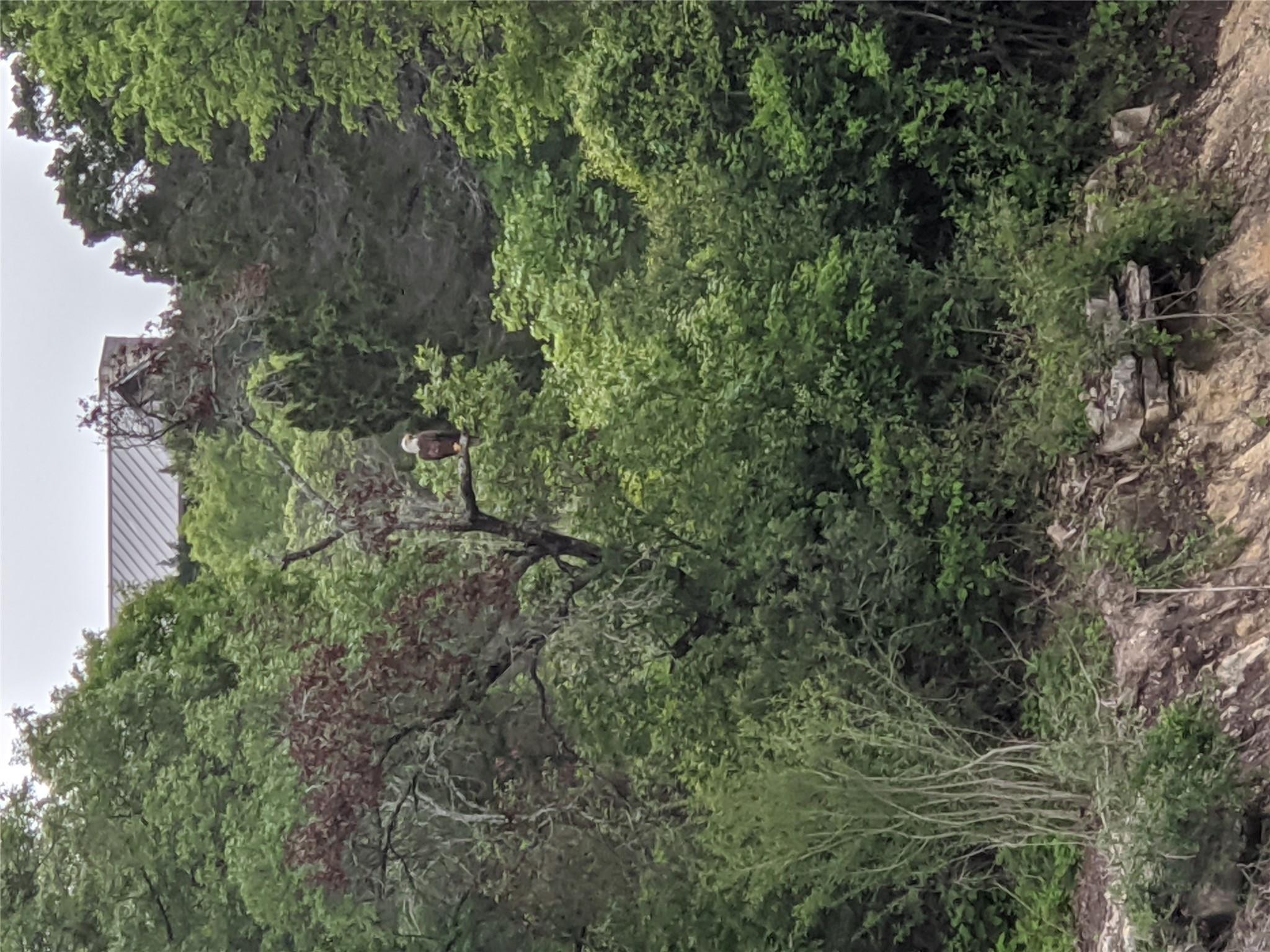 19529 Adrian-5.53 Acres WAY