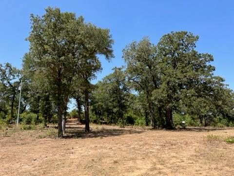 Photo of 452 Wilhelm WAY, Red Rock, TX 78662 (MLS # 4026751)
