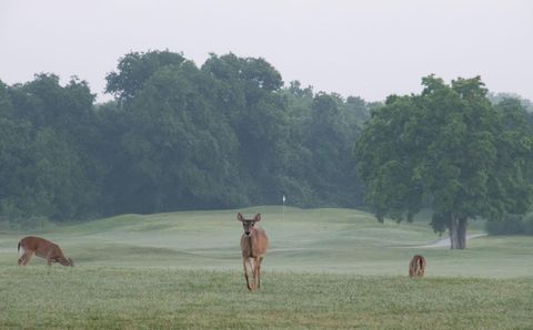 Tiny photo for 1101 Grove BLVD #304, Austin, TX 78741 (MLS # 4340424)