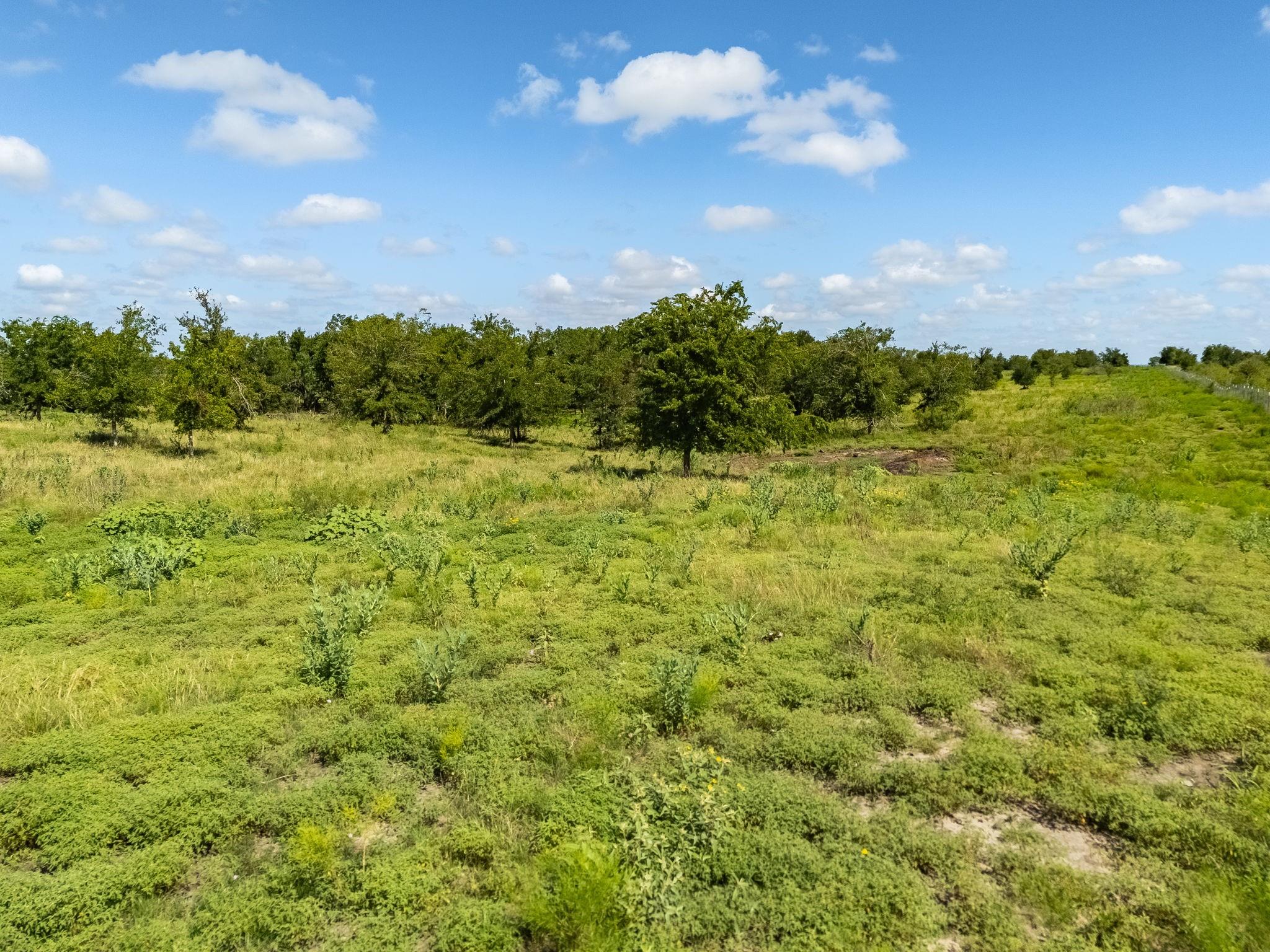 3280 County Road 466 RD