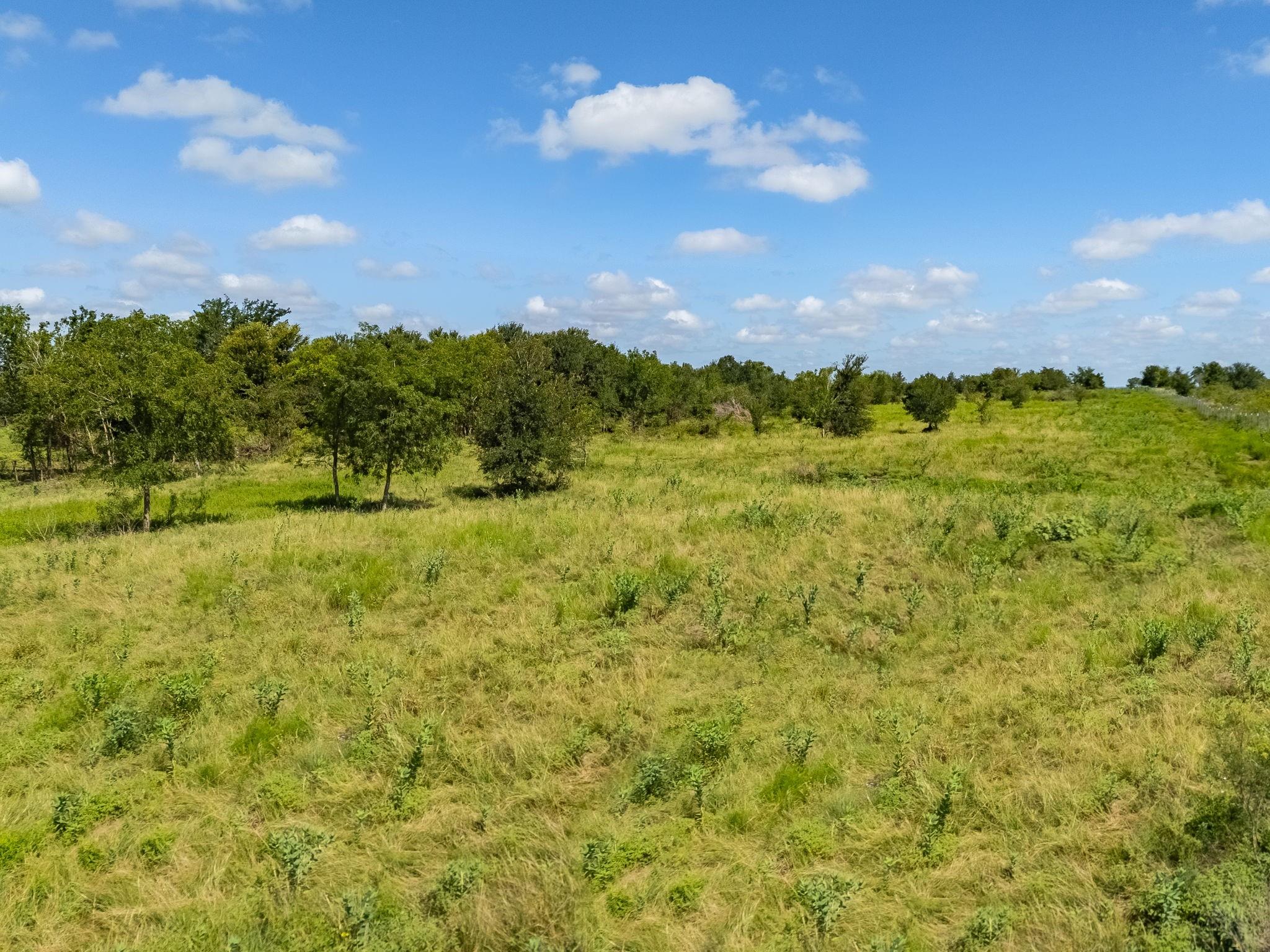 3280 County Road 466 RD