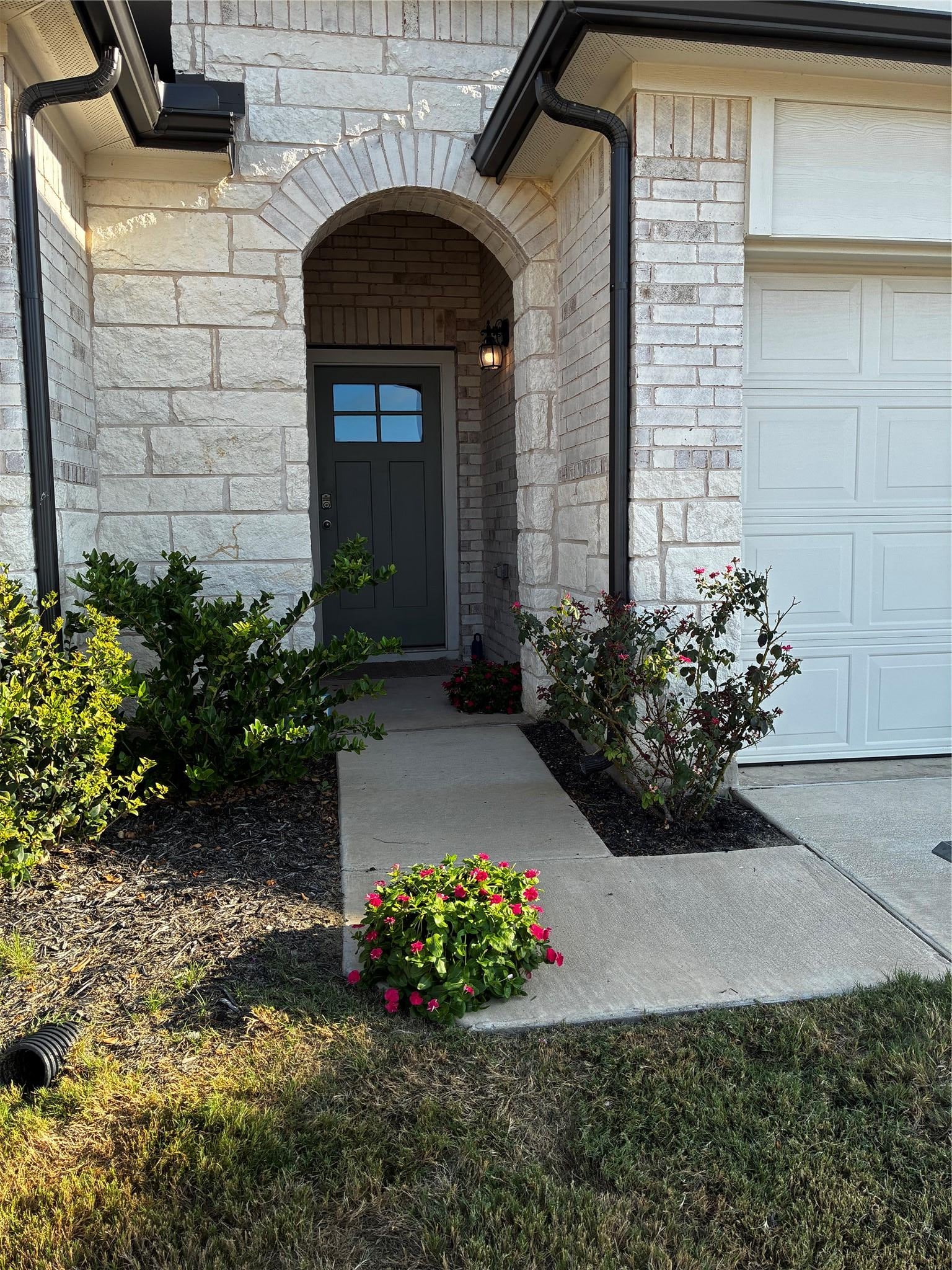 164 Alamo Vine CT